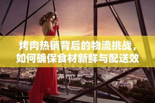 烤肉热销背后的物流挑战，如何确保食材新鲜与配送效率？