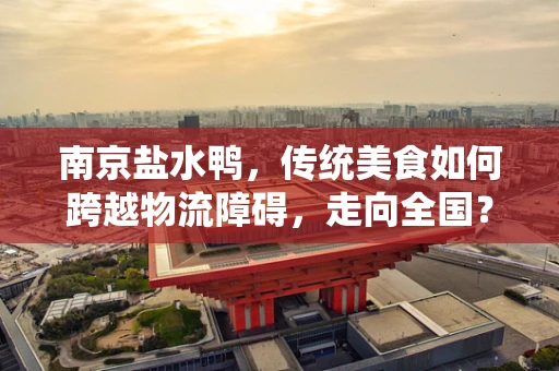 南京盐水鸭，传统美食如何跨越物流障碍，走向全国？