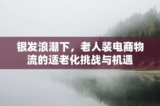 银发浪潮下，老人装电商物流的适老化挑战与机遇