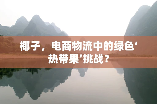 椰子，电商物流中的绿色‘热带果’挑战？