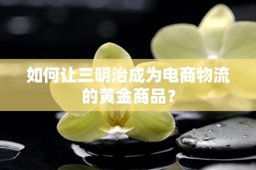 如何让三明治成为电商物流的黄金商品？
