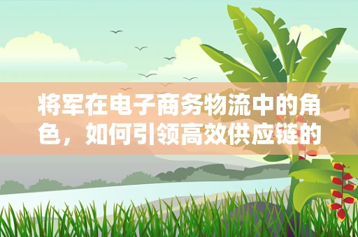 将军在电子商务物流中的角色，如何引领高效供应链的战略突袭？