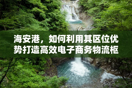 海安港，如何利用其区位优势打造高效电子商务物流枢纽？