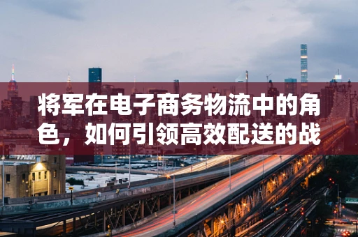 将军在电子商务物流中的角色，如何引领高效配送的战略部署？