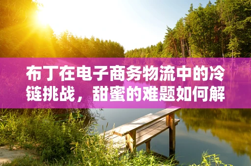 布丁在电子商务物流中的冷链挑战，甜蜜的难题如何解决？