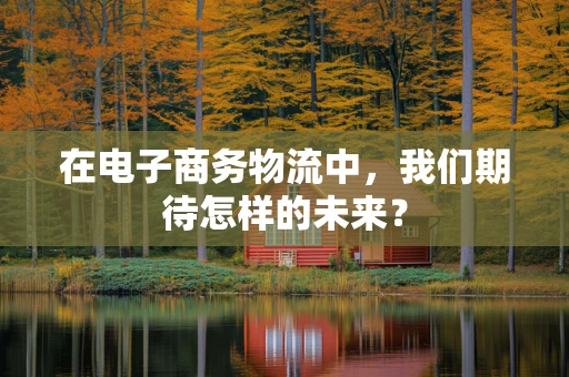在电子商务物流中，我们期待怎样的未来？