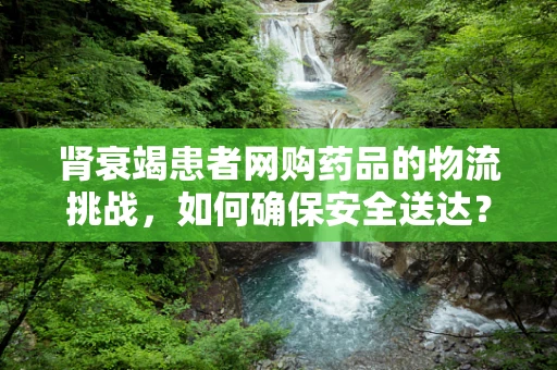 肾衰竭患者网购药品的物流挑战，如何确保安全送达？