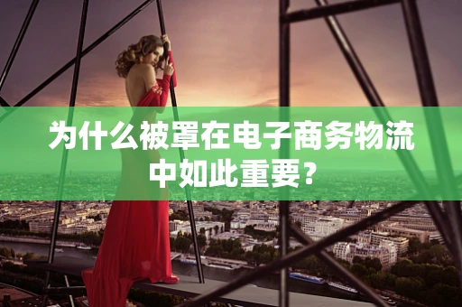 为什么被罩在电子商务物流中如此重要？
