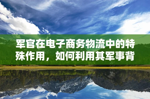军官在电子商务物流中的特殊作用，如何利用其军事背景优化物流策略？