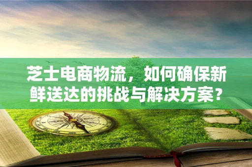 芝士电商物流，如何确保新鲜送达的挑战与解决方案？