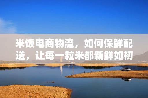 米饭电商物流，如何保鲜配送，让每一粒米都新鲜如初？