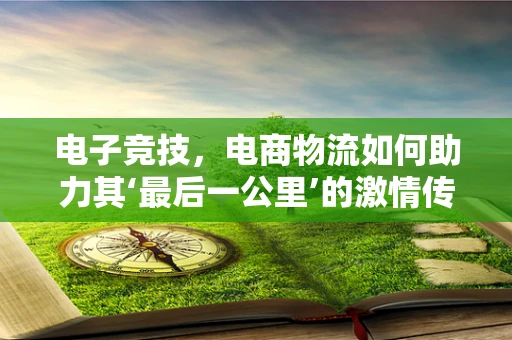 电子竞技，电商物流如何助力其‘最后一公里’的激情传递？