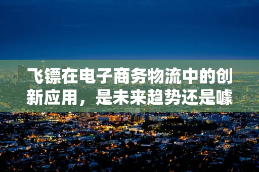 飞镖在电子商务物流中的创新应用，是未来趋势还是噱头？