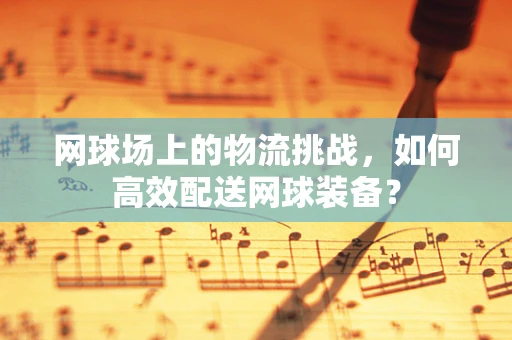 网球场上的物流挑战，如何高效配送网球装备？
