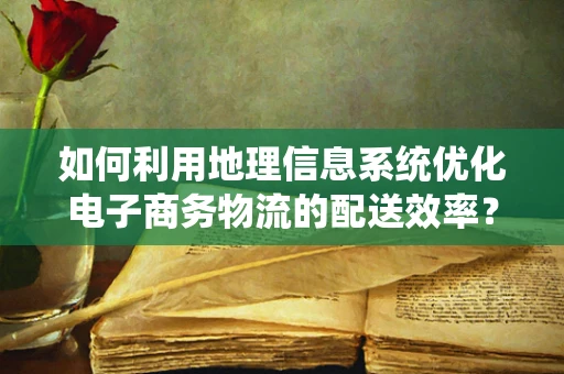 如何利用地理信息系统优化电子商务物流的配送效率？