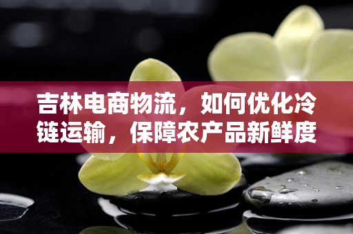 吉林电商物流，如何优化冷链运输，保障农产品新鲜度？