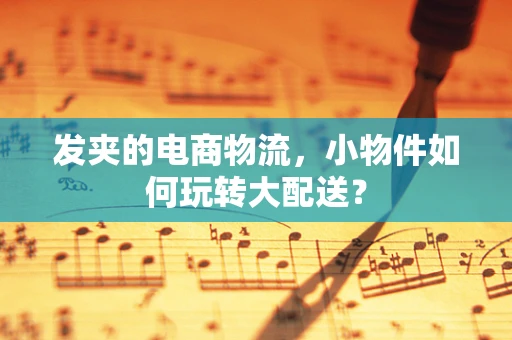 发夹的电商物流，小物件如何玩转大配送？