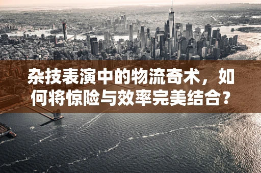 杂技表演中的物流奇术，如何将惊险与效率完美结合？