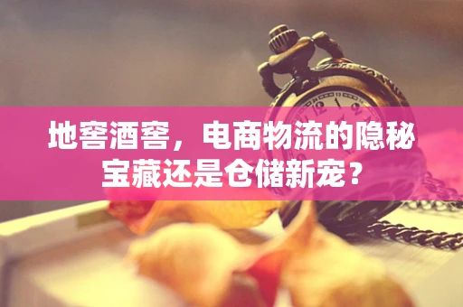 地窖酒窖，电商物流的隐秘宝藏还是仓储新宠？