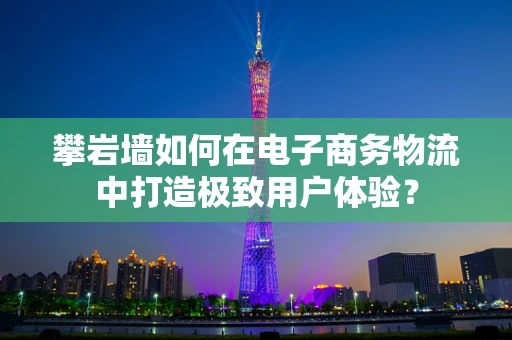 攀岩墙如何在电子商务物流中打造极致用户体验？