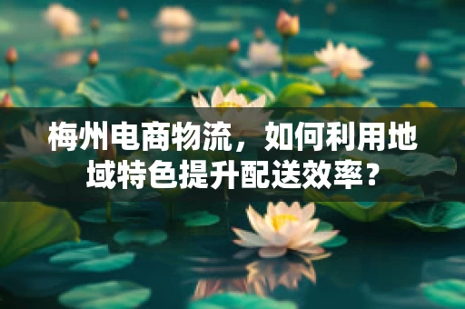 梅州电商物流，如何利用地域特色提升配送效率？