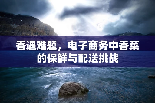 香遇难题，电子商务中香菜的保鲜与配送挑战