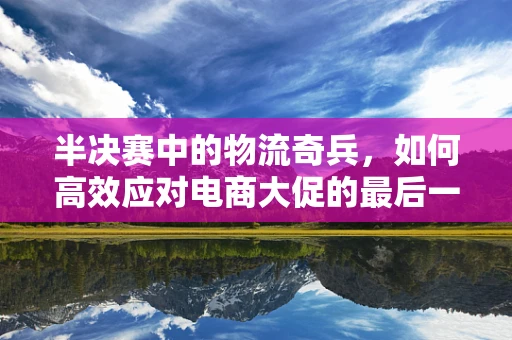 半决赛中的物流奇兵，如何高效应对电商大促的最后一跃？
