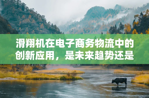 滑翔机在电子商务物流中的创新应用，是未来趋势还是空中楼阁？