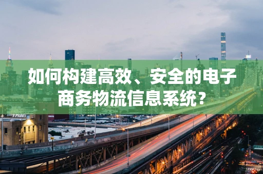 如何构建高效、安全的电子商务物流信息系统？
