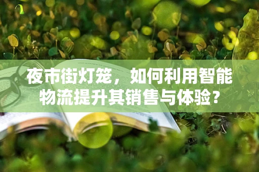 夜市街灯笼，如何利用智能物流提升其销售与体验？