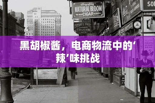 黑胡椒酱，电商物流中的‘辣’味挑战
