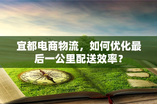 宜都电商物流，如何优化最后一公里配送效率？