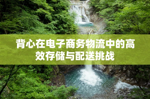 背心在电子商务物流中的高效存储与配送挑战