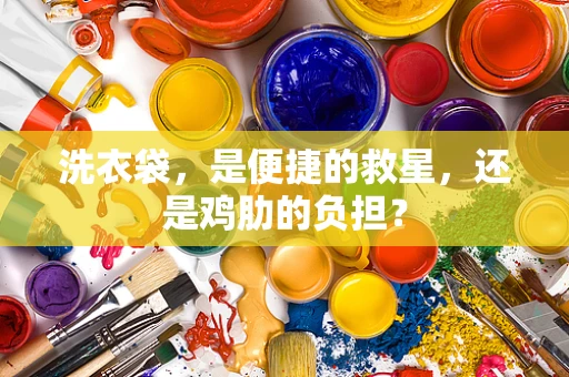 洗衣袋，是便捷的救星，还是鸡肋的负担？