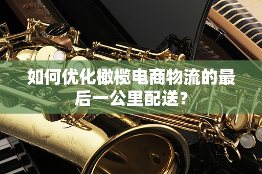 如何优化橄榄电商物流的最后一公里配送？