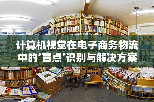 计算机视觉在电子商务物流中的‘盲点’识别与解决方案