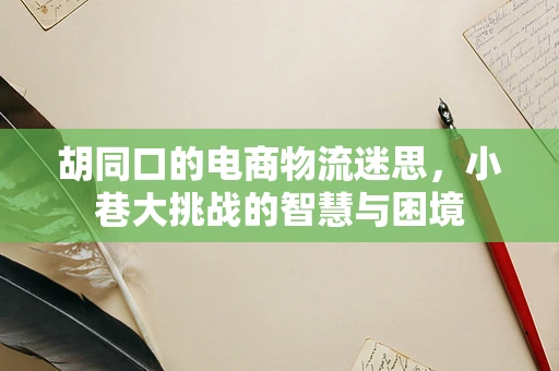 胡同口的电商物流迷思，小巷大挑战的智慧与困境