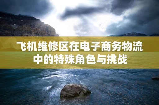 飞机维修区在电子商务物流中的特殊角色与挑战