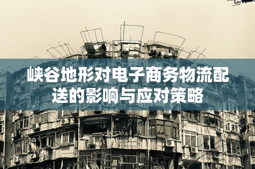 峡谷地形对电子商务物流配送的影响与应对策略