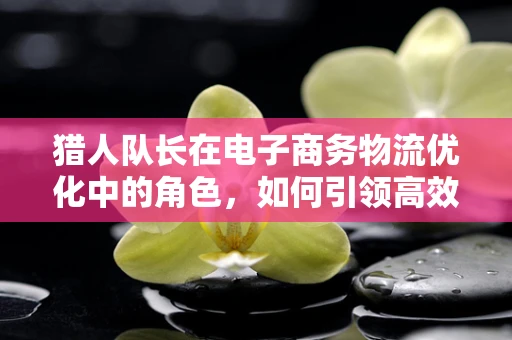 猎人队长在电子商务物流优化中的角色，如何引领高效配送的变革？