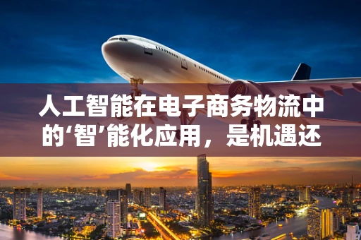 人工智能在电子商务物流中的‘智’能化应用，是机遇还是挑战？
