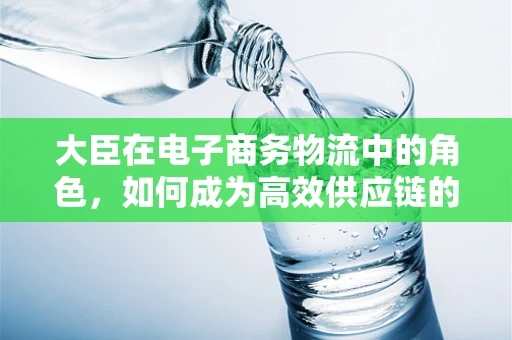 大臣在电子商务物流中的角色，如何成为高效供应链的幕后英雄？