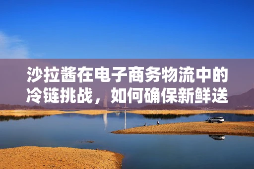 沙拉酱在电子商务物流中的冷链挑战，如何确保新鲜送达？