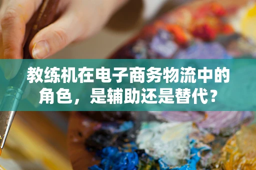 教练机在电子商务物流中的角色，是辅助还是替代？