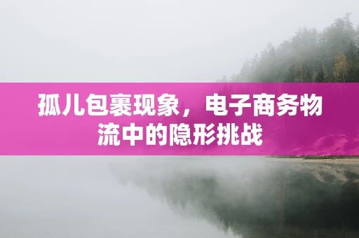 孤儿包裹现象，电子商务物流中的隐形挑战
