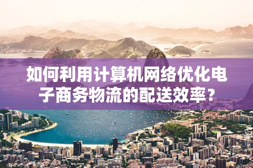 如何利用计算机网络优化电子商务物流的配送效率？