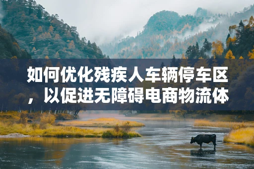 如何优化残疾人车辆停车区，以促进无障碍电商物流体验？