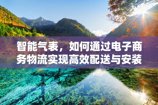 智能气表，如何通过电子商务物流实现高效配送与安装？