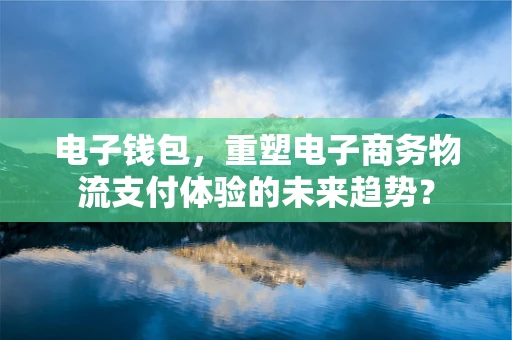 电子钱包，重塑电子商务物流支付体验的未来趋势？