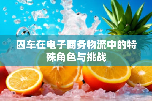 囚车在电子商务物流中的特殊角色与挑战